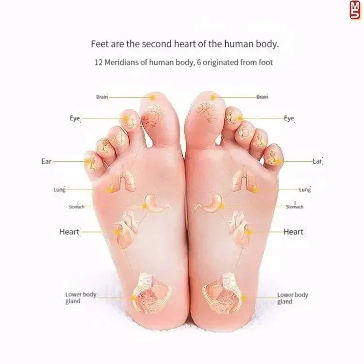 Reflexology Foot Massage & Pressure Board